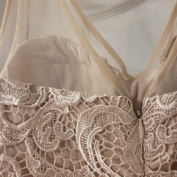 Adrianna Papell Elegant Lace Cocktail Dress in Cream - Picture 6 of 6